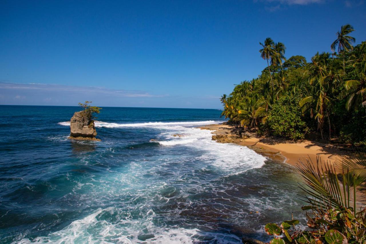 Villa Frida - Private Beachfront Villa Puerto Viejo de Talamanca Экстерьер фото