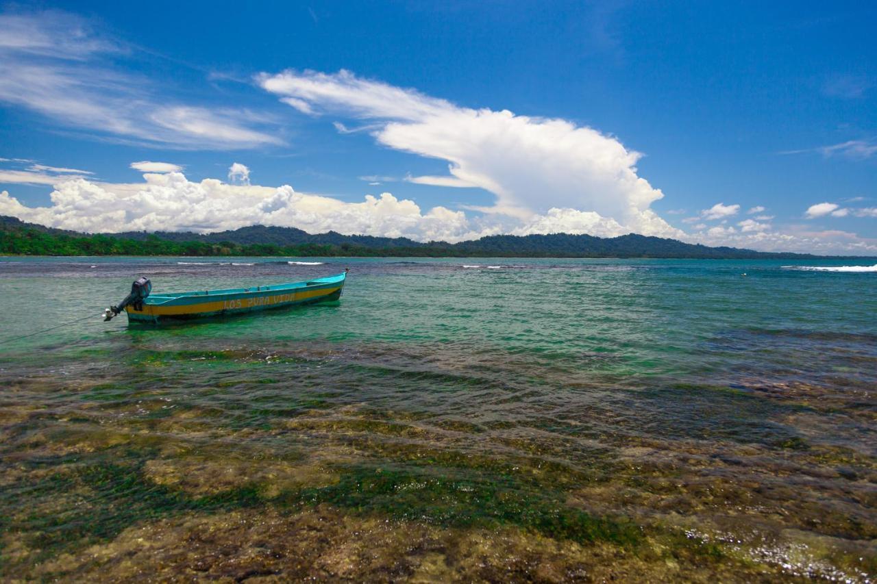 Villa Frida - Private Beachfront Villa Puerto Viejo de Talamanca Экстерьер фото